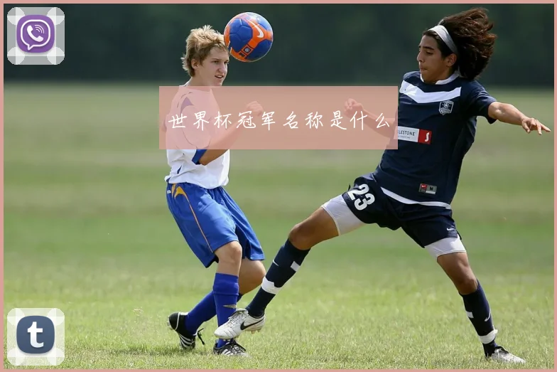 世界杯冠军名称是什么
