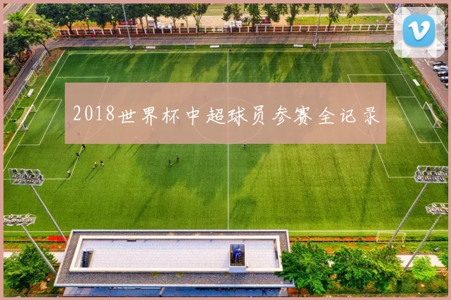 2018世界杯中超球员参赛全记录