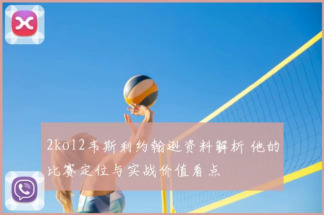 2kol2韦斯利约翰逊资料解析 他的比赛定位与实战价值看点